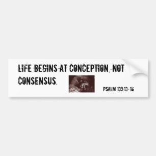 Life begins at conception. bumper sticker