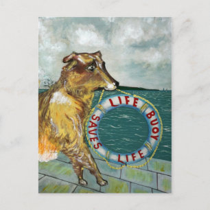 Life Buoy soap vintage advertising poster Postcard