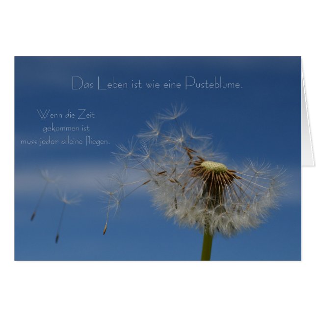 "Life" by mysteryella (Front Horizontal)