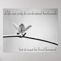 Life can only be understood backwards,