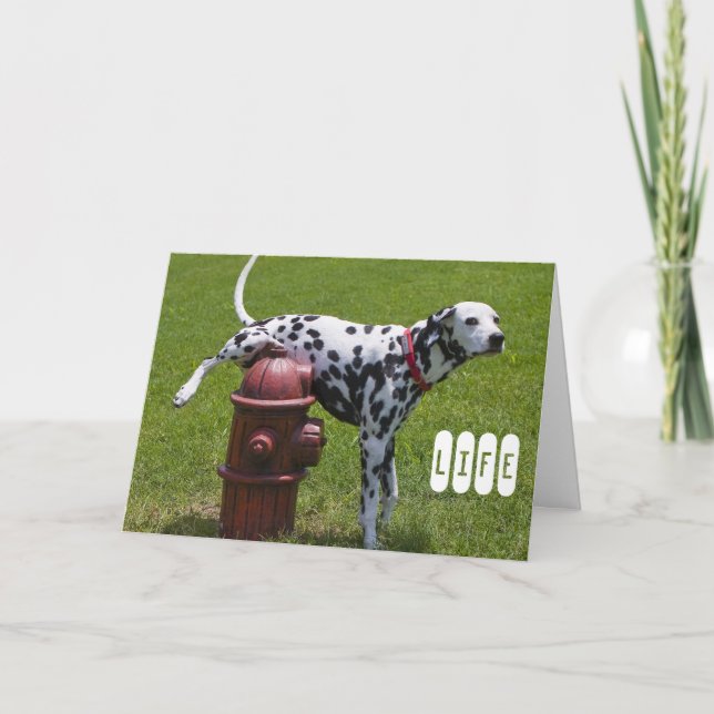LIFE CARD (Front)