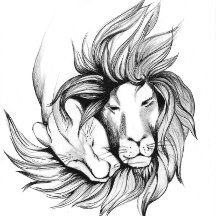 Life charger Love charger Lion power