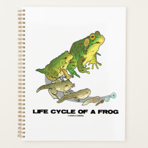 Life Cycle Of A Frog From Egg To Tadpole To Frog Planner