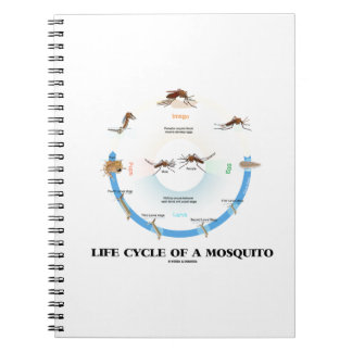 Life Cycle Of A Mosquito (Egg Larva Pupa Imago) Notebook
