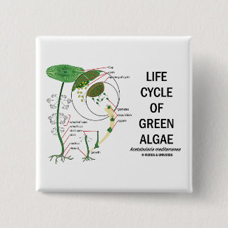 Life Cycle Of Green Algae 15 Cm Square Badge