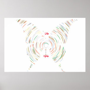Life Cycle   Poster