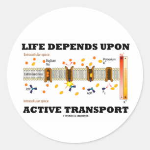 Life Depends Upon Active Transport (Na-K Pump) Classic Round Sticker