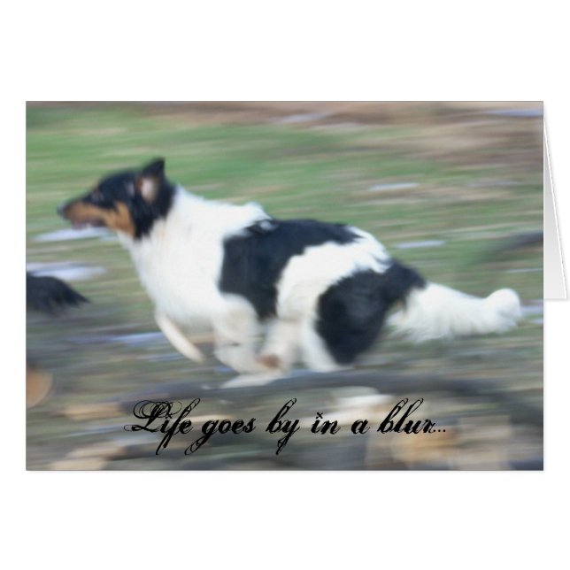 Life goes by in a blur... (Front Horizontal)