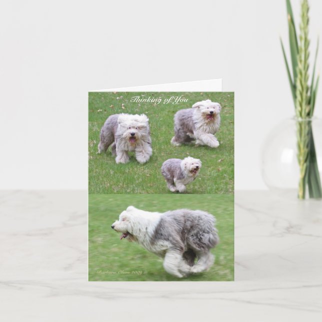 Life Happens! Card (Front)