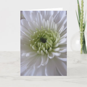 Life in Bloom (2) Greeting Cards