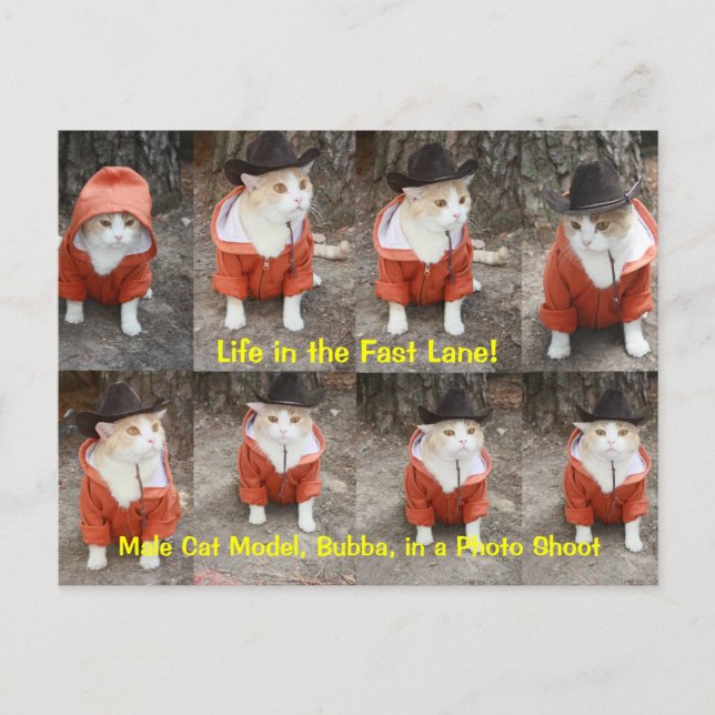 Life in the Fast Lane! Postcard (Front)