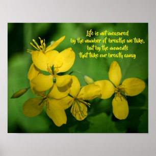 Life Inspirational Quote Wildflowers  Poster