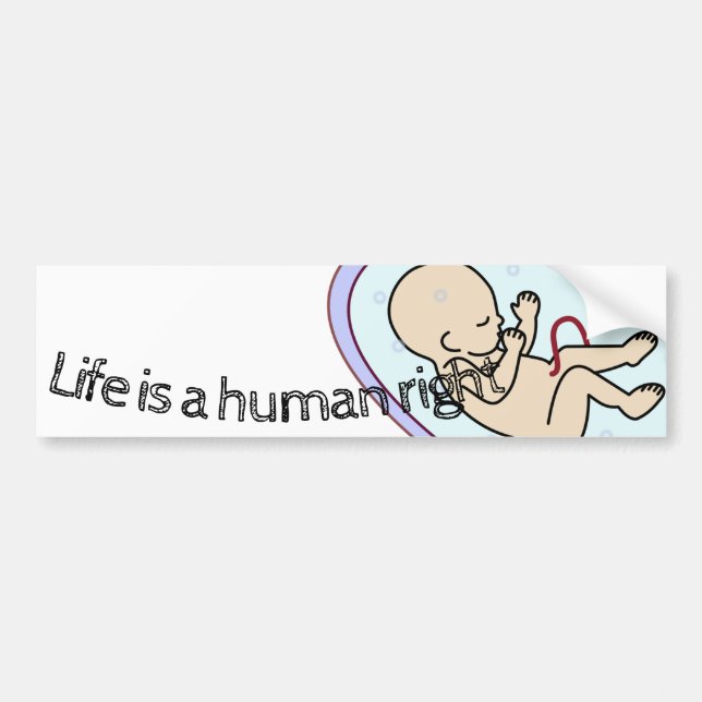 Life is a human right! pro-life bumper sticker (Front)