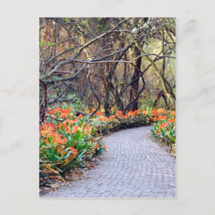 Life is a journey postcard