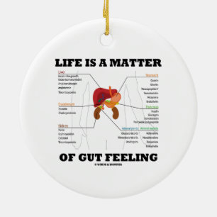 Life Is A Matter Of Gut Feeling Anatomical Humour Ceramic Tree Decoration