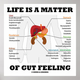 Life Is A Matter Of Gut Feeling Anatomical Humour Poster
