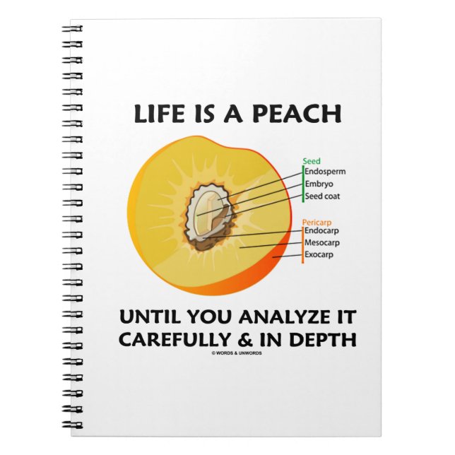 Life Is A Peach Until You Analyse Carefully Depth Notebook (Front)