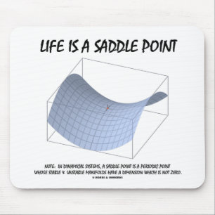 Life Is A Saddle Point (Math & Geometry) Mouse Mat