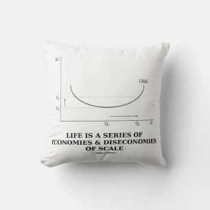 Life Is A Series Of Economies & Diseconomies Scale Cushion