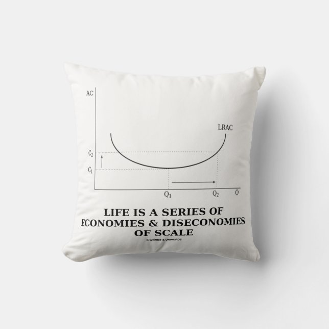 Life Is A Series Of Economies & Diseconomies Scale Cushion (Front)
