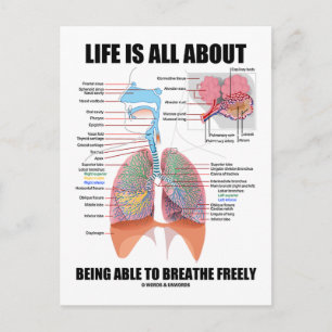 Life Is All About Being Able To Breathe Freely Postcard