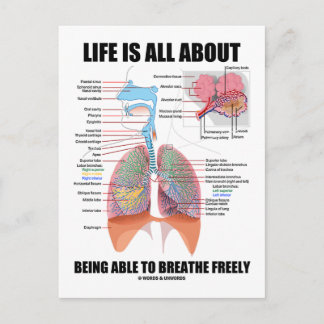 Life Is All About Being Able To Breathe Freely Postcard