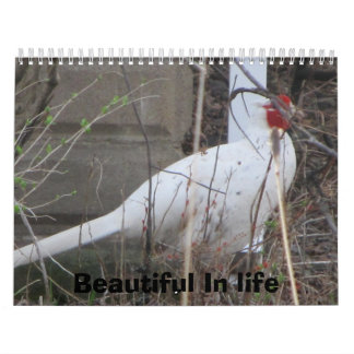 Life  is Beautiful Calendar