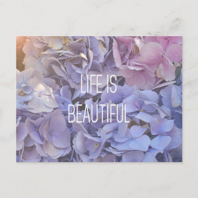 Life Is Beautiful Hydrangea Postcard (Front)