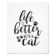 Life is better with a Cat Cute Cat Captions Aesthe