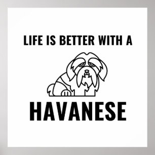 Life is better with a havanese poster