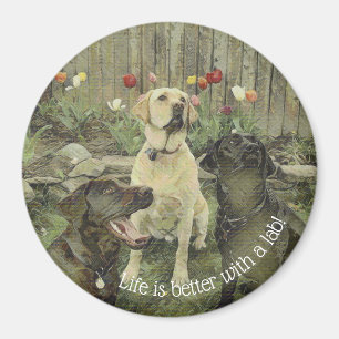 Life is Better With a Lab Magnet