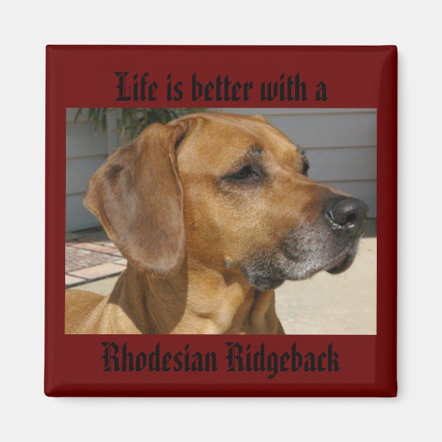 Life is better with a RHODESIAN RIDGEBACK MAGNET (Front)