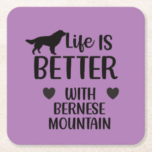 Life is better with bernese Dog, Bernese Lover Square Paper Coaster