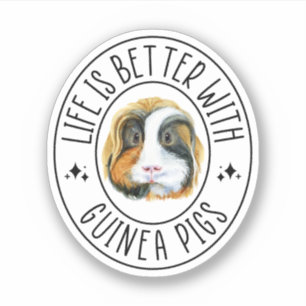 Life Is Better With Guinea Pigs, Guinea Pigs Lover