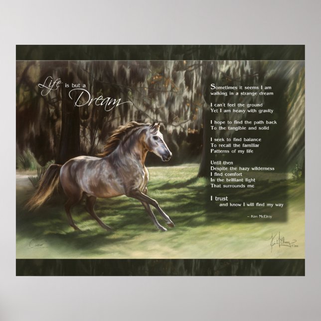 Life is but a Dream Poster (Front)