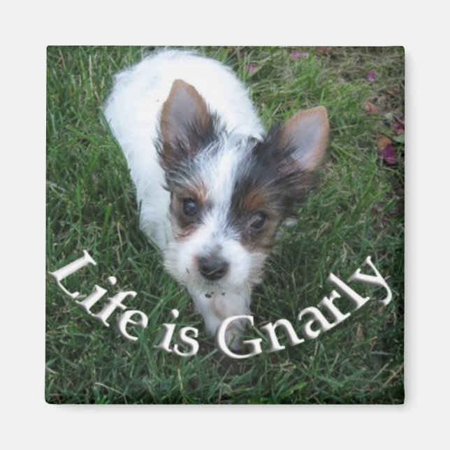 Life is Gnarly Magnet (Front)