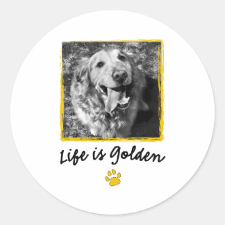 Life Is Golden (Retriever) Classic Round Sticker