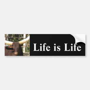 Life is Life     Bumper Sticker