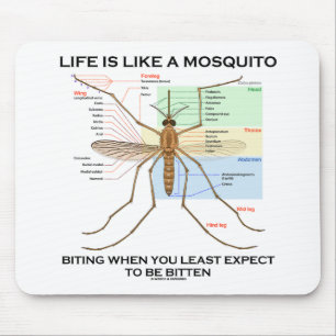 Life Is Like A Mosquito Biting When Least Expect Mouse Mat