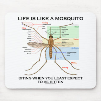 Life Is Like A Mosquito Biting When Least Expect Mouse Mat