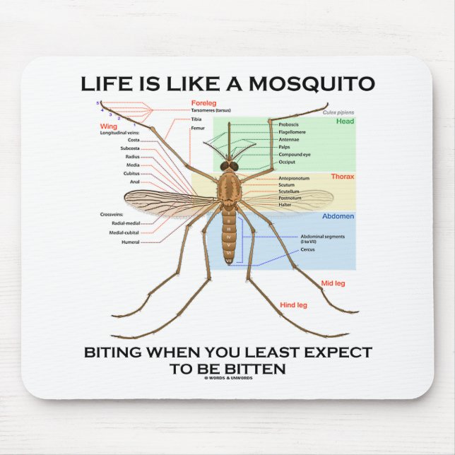 Life Is Like A Mosquito Biting When Least Expect Mouse Mat (Front)