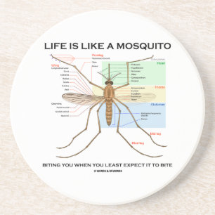 Life Is Like A Mosquito Biting You When You Least Coaster