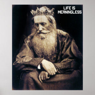 Life is Meaningless Poster