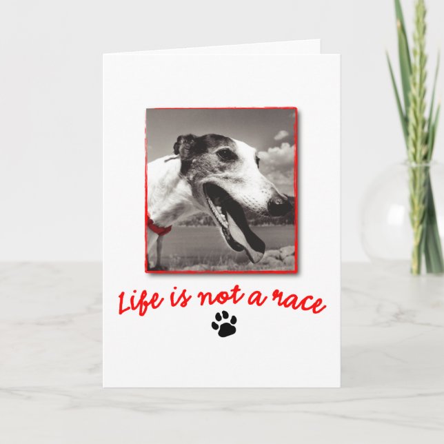 Life is NOT a Race Card (Front)