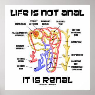 Life Is Not Anal It Is Renal (Kidney Nephron) Poster