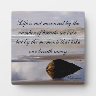 Life Is Not Measured Plaque