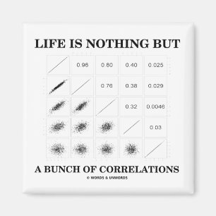 Life Is Nothing But A Bunch Of Correlations Magnet