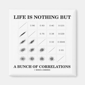 Life Is Nothing But A Bunch Of Correlations Magnet