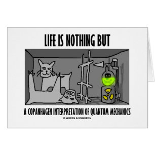 Life Is Nothing But A Copanhagen Interpretation