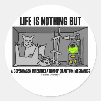 Life Is Nothing But A Copenhagen Interpretation Of Classic Round Sticker